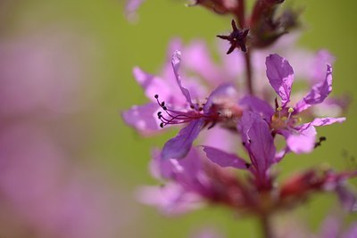 BUITEN BEELD Foto: 181655