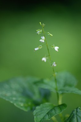 BUITEN BEELD Foto: 181675