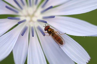 BUITEN BEELD Foto: 181700