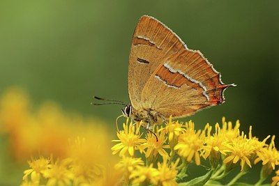 BUITEN BEELD Foto: 181799