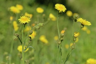 BUITEN BEELD Foto: 181812