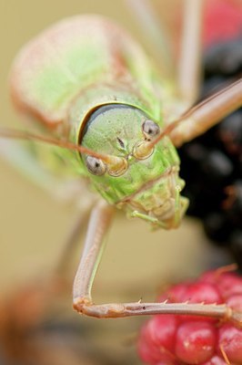 BUITEN BEELD Foto: 182046