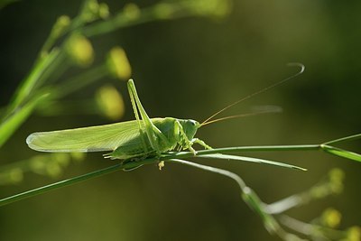 BUITEN BEELD Foto: 182067