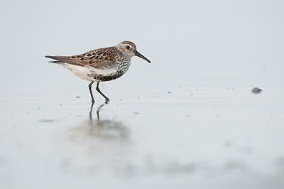 BUITEN BEELD Foto: 182119