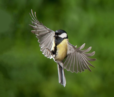 BUITEN BEELD Foto: 182138