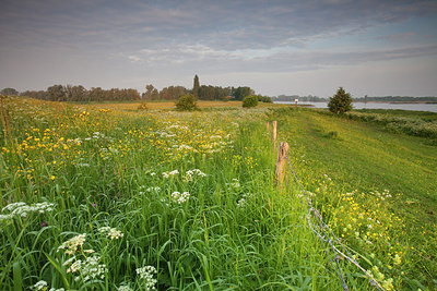 BUITEN BEELD Foto: 182217