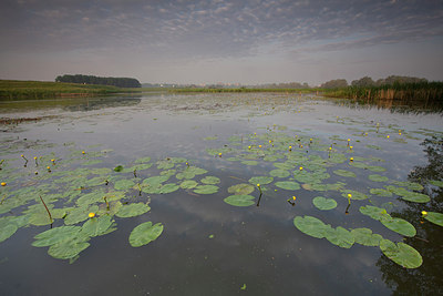 BUITEN BEELD Foto: 182218