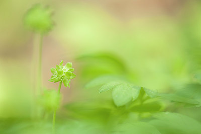 BUITEN BEELD Foto: 182229