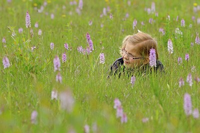 BUITEN BEELD Foto: 182257