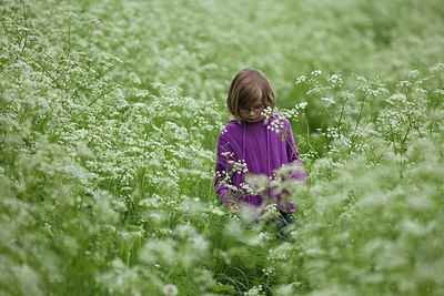 BUITEN BEELD Foto: 182259