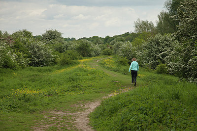 BUITEN BEELD Foto: 182267