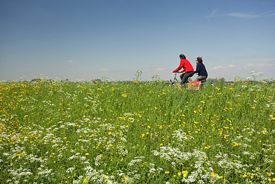 BUITEN BEELD Foto: 182271