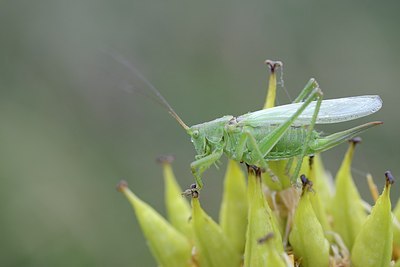 BUITEN BEELD Foto: 182281