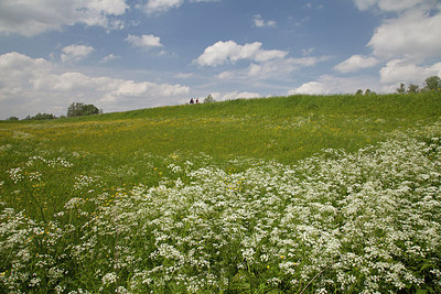 BUITEN BEELD Foto: 182282