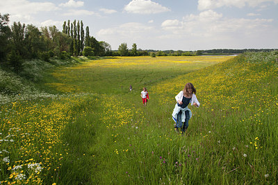 BUITEN BEELD Foto: 182284