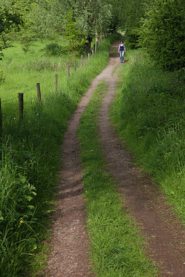 BUITEN BEELD Foto: 182285