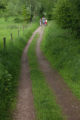 BUITEN BEELD Foto: 182287