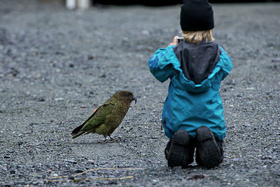 BUITEN BEELD Foto: 182341