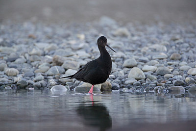 BUITEN BEELD Foto: 182373