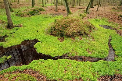 BUITEN BEELD Foto: 182462