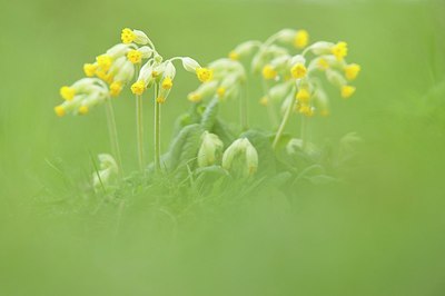 BUITEN BEELD Foto: 182481