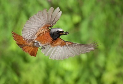 BUITEN BEELD Foto: 182503