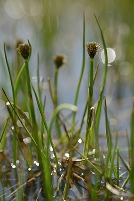 BUITEN BEELD Foto: 182511