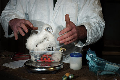 BUITEN BEELD Foto: 182516