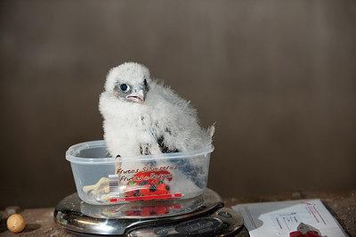 BUITEN BEELD Foto: 182517