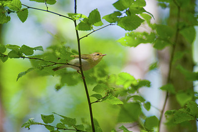 BUITEN BEELD Foto: 182518