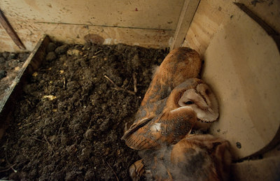 BUITEN BEELD Foto: 182522