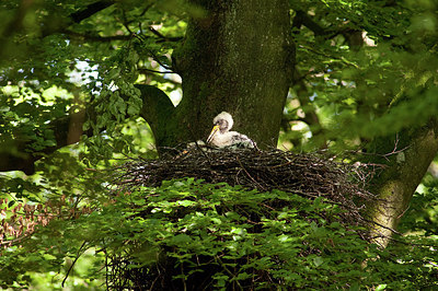 BUITEN BEELD Foto: 182524