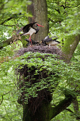 BUITEN BEELD Foto: 182528