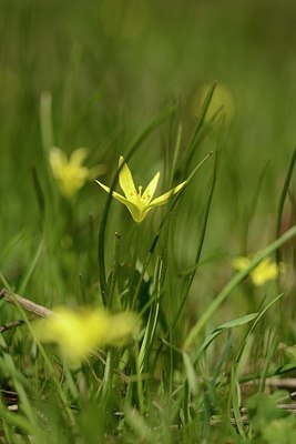 BUITEN BEELD Foto: 182533