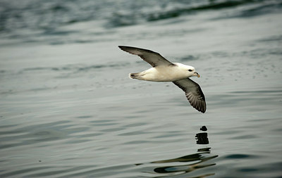 BUITEN BEELD Foto: 182538