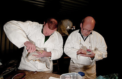 BUITEN BEELD Foto: 182541