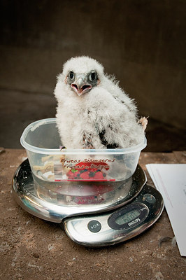 BUITEN BEELD Foto: 182545