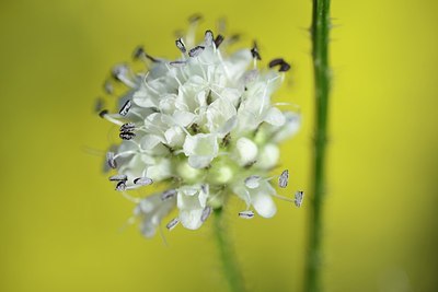 BUITEN BEELD Foto: 182653