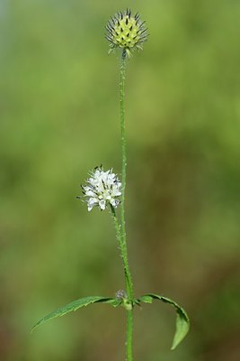 BUITEN BEELD Foto: 182655