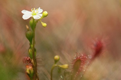 BUITEN BEELD Foto: 182709