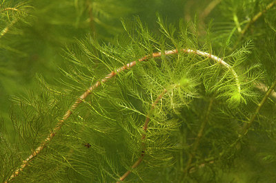BUITEN BEELD Foto: 182753