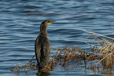 BUITEN BEELD Foto: 182810