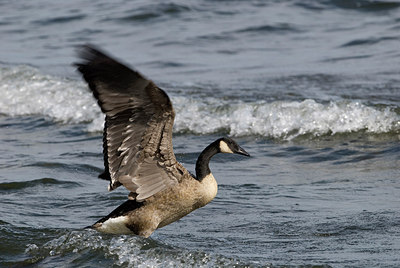 BUITEN BEELD Foto: 182833