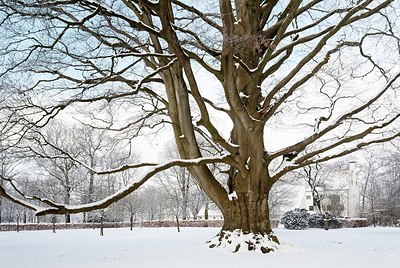BUITEN BEELD Foto: 182871