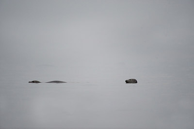 BUITEN BEELD Foto: 182896
