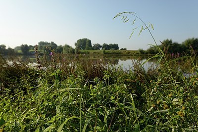 BUITEN BEELD Foto: 182944