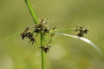 BUITEN BEELD Foto: 182947