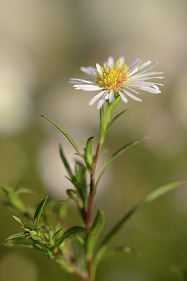 BUITEN BEELD Foto: 182949