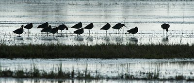 BUITEN BEELD Foto: 182955