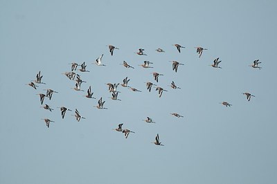 BUITEN BEELD Foto: 182957